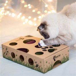 Cat Interactive Toys